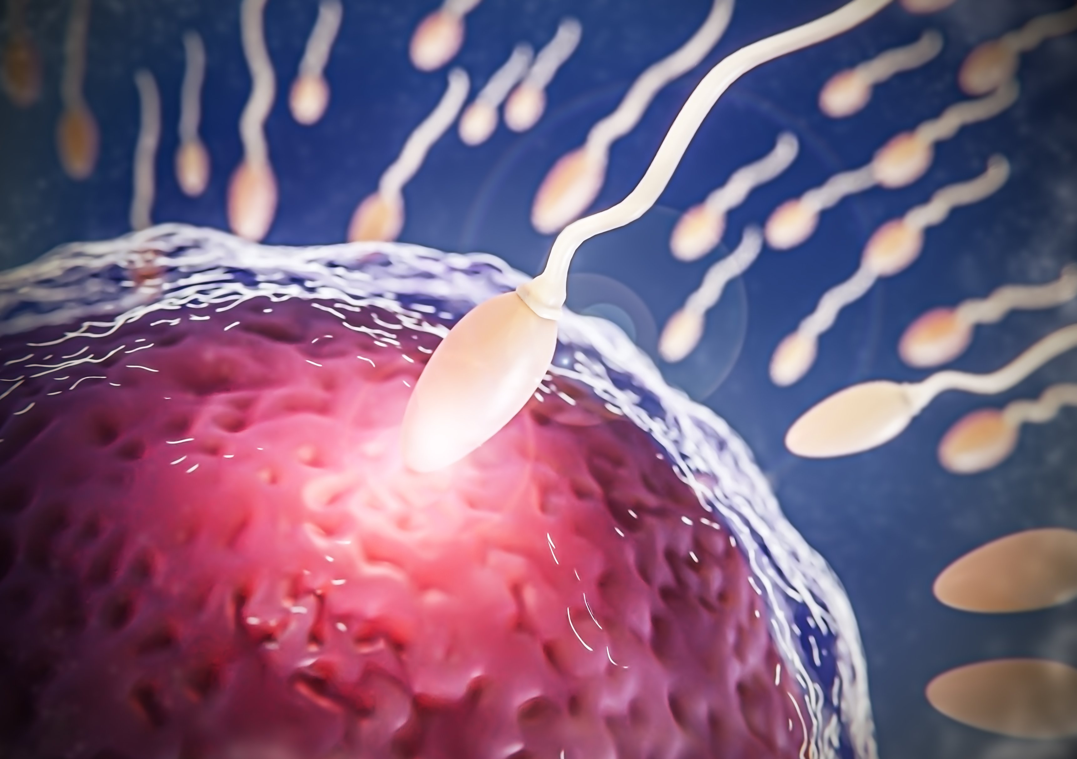 beautiful-fertility-concept-3d-rendering